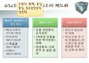 OSCE 유럽안보협력기구 7페이지