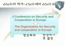 OSCE 유럽안보협력기구 8페이지