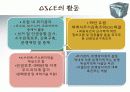 OSCE 유럽안보협력기구 11페이지