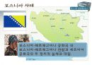 OSCE 유럽안보협력기구 12페이지