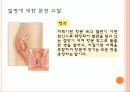 Hemorrhoid 치핵 5페이지