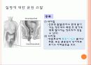 Hemorrhoid 치핵 8페이지