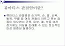 성인병과 운동 13페이지