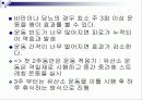 성인병과 운동 24페이지
