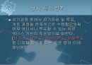 전자민주주의 5페이지