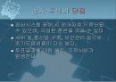 전자민주주의 8페이지