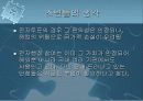 전자민주주의 15페이지
