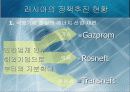 러시아의 사할린 프로젝트를 둘러싼 동북아 에너지문제 8페이지