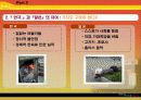 일본인(日本人)한국과의 차이 5페이지