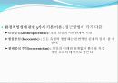 환경의 의의  15페이지