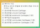 구어 산출에 대한 해부학 및 생리학 14페이지