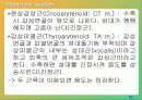 구어 산출에 대한 해부학 및 생리학 19페이지