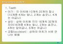 구어 산출에 대한 해부학 및 생리학 27페이지