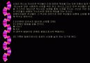 그리스도인의 신앙생활 12페이지