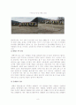 도시행정론_보고서 8페이지