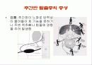 추간판 탈출증(디스크질환)  9페이지