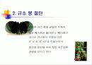 반도체제작공정(Power Point 버젼) 4페이지