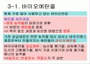 바이오에너지 25페이지