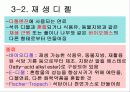 바이오에너지 27페이지