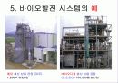 바이오에너지 31페이지