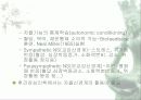 스트레스의정의와측정 3페이지