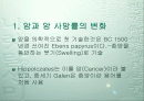 암의행동적요인 2페이지