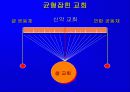 셀 교회란 무엇인가 10페이지