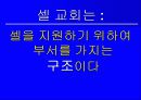 셀 교회란 무엇인가 71페이지