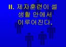 셀 교회란 무엇인가 78페이지