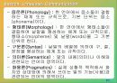 언어병리학개론 3페이지