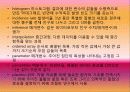 연구 용어 & 컴퓨터용어 6페이지