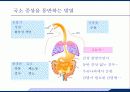 응급실에서 발열의 감별진단 3페이지