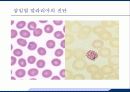 응급실에서 발열의 감별진단 29페이지
