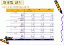 인터넷 쇼핑몰 사업계획서 12페이지