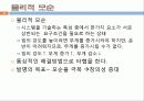 창의적공학설계(트리즈-3) 10페이지