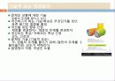 창의적공학설계(트리즈-3) 22페이지