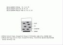 창의적공학설계(트리즈-3) 34페이지