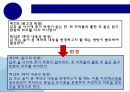 [출판학]저작권 분쟁 사례와 출판계약서 변조 23페이지