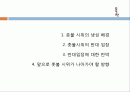 촛불시위_찬성의견_ 2페이지