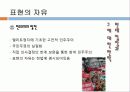 촛불시위_찬성의견_ 16페이지
