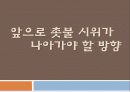 촛불시위_찬성의견_ 21페이지
