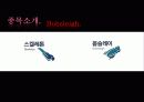 출판개론총정리 6페이지