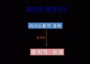 jurgen habermas 21페이지