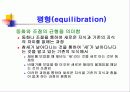 Piaget의 인지발달이론 7페이지