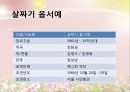 한국의 창작 뮤지컬 11페이지