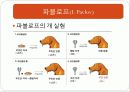 교육심리이론 행동주의 8페이지