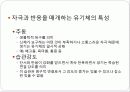 교육심리이론 행동주의 12페이지