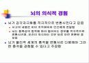 형태주의 이론 10페이지