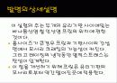 Frit으로 밀봉된 유리 패키지 10페이지