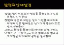 Frit으로 밀봉된 유리 패키지 11페이지